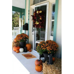 DOPREDAJ: 45x70 cm Rohožka Halloween oranžová tekvica 105706 - na ven i na doma