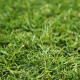 Umelá tráva Profi Garden