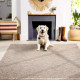 Kusový koberec Zagora 4512 Beige