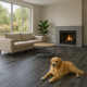 PVC podlaha - lino Blacktex Fumed Oak 966M
