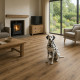 PVC podlaha - lino Toptex Lime Oak 169M