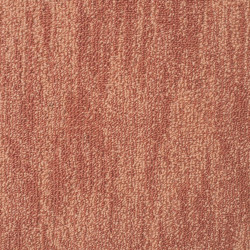 AKCIA: 80x550 cm Koberec metráž Leon 21844 Terra