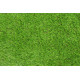 AKCIA: 53x1126 cm Metrážna umelá tráva Danny Green