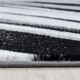 AKCIA: 200x290 cm Kusový koberec Parma 9210 black