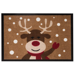 AKCIA: 40x60 cm Rohožka Printy 103047 – na von aj na doma