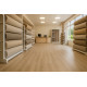 PVC podlaha - lino Texalino Supreme 611 Stamford Oak - dub