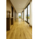 PVC podlaha - lino Texalino Supreme 667M Tasmanian Oak - dub