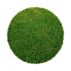 AKCIA: 200x200 (průměr) kruh cm Umelá tráva Botanic kruh