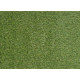 AKCIA: 200x200 (průměr) kruh cm Umelá tráva Botanic kruh