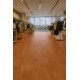 PVC podlaha - lino Logitex Ultimate 55 Sting T15