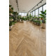PVC podlaha Flex Nerok 0476 Noma Miel