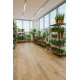 PVC podlaha Flexa Nerok 0476 Noma Miel