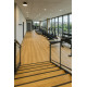 PVC podlaha Logitex Ultimate 55 Elias T47