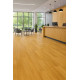 PVC podlaha - lino Master X Premium 3802