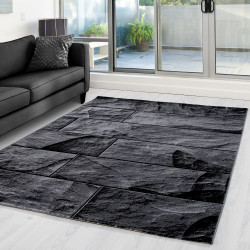 AKCIA: 200x290 cm Kusový koberec Parma 9250 black