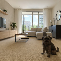 Koberec metráž Story 9102