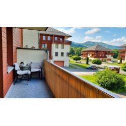 AKCIA: 110x315 cm Umelá tráva Wembley šedá