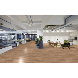 AKCIA: 400x650 cm PVC podlaha - lino Asolo Wood French Oak grey beige