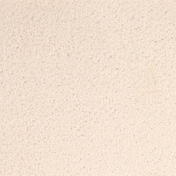 AKCIA: 75x470 cm Koberec metráž Dynasty 60