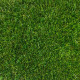 AKCIA: 155x365 cm Umelá tráva Princess