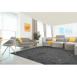 AKCIA: 100x100 cm Kusový koberec Color Shaggy sivý štvorec