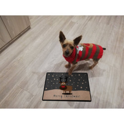 AKCIA: 40x60 cm Rohožka Merry Christmas - Sob 103045 – na von aj na doma