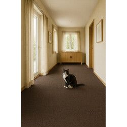 Čistiaca zóna Parijs 10 hnedočervená