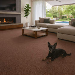 Metrážny koberec Bohemia terakota