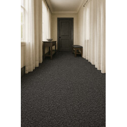 Čistiaca zóna Robust 135 sivá