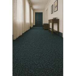 Čistící zóna Robust 137 zelená