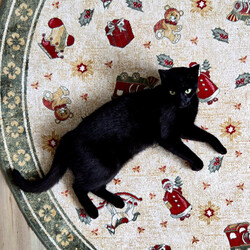 DOPREDAJ: 200x200 (průměr) kruh cm Kusový koberec Villeroy & Boch Toy's delight se střiženým vlasem 106218 Green, Multicolor 