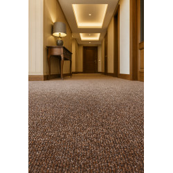 Čistiaca zóna Parijs DB 93