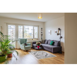 AKCE: 200x290 cm Kusový koberec Elite 3935 Grey