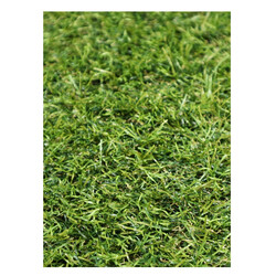 Kusový trávny koberec Profi Garden