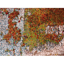 Kusový koberec Belis 40164-110 Multi