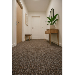 Čistiaca zóna Capri WB 12