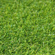 Umelá tráva Gazon