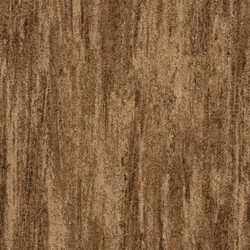 Koberec metráž Tropical 40