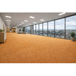 Metrážny koberec e-blitz 55