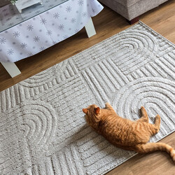 Kusový koberec Art 1121 Silver