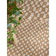 Kusový koberec Ted Baker Haringey 106375 Natural White