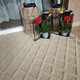 Kusový koberec Patara 4953 Beige