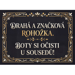 Drahá a značková rohožka 40x60 cm – na von aj na doma