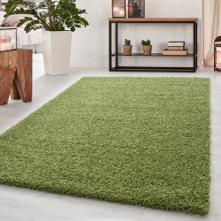 DOPRODEJ: 80x150 cm Kusový koberec Dream Shaggy 4000 green