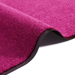 DOPRODEJ: 40x60 cm Rohožka Wash & Clean 103835 Raspberry Red
