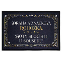 Drahá a značková rohožka 40x60 cm - na von aj na doma