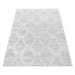 AKCE: 80x250 cm Kusový koberec Pisa 4703 Grey
