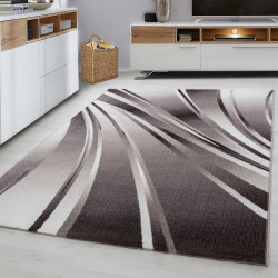 AKCE: ??️120x170 cm Kusový koberec Parma 9210 brown + protiskluzová úprava