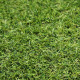 Umelá tráva Profi Garden