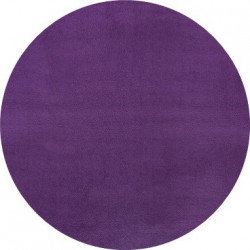 Koberec Fancy 103005 Lila kruh